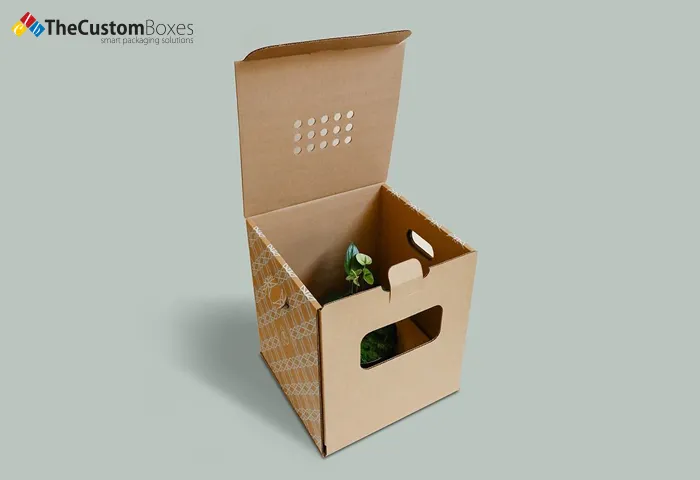 Eco-Friendly Designs